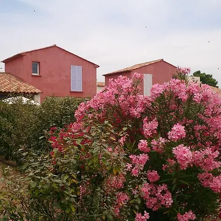 Tamaris 2 维琪奥港